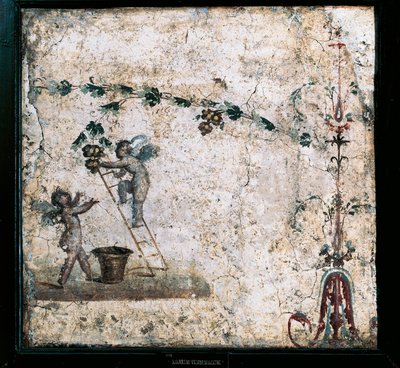 Pompeii'deki Marcus Lucretius Evi'nden Aşk Tanrısının hasatını tasvir eden üçüncü stil fresk by Roman Roman