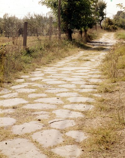 Via Flaminia, Roma. by Roman Roman
