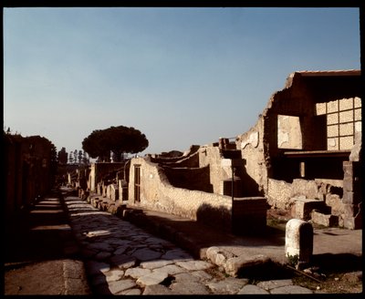 Decumanus Maximus