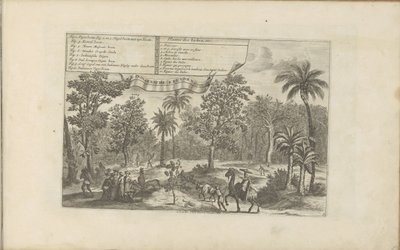 Bomen en specerijen Hint bitkileri, vb / Indianensche kruyden, vb (nesne üzerindeki başlık) Doğu ve Batı Hint Adaları ve Diğer Yerler (dizi başlığı) by Romeyn de Hooghe