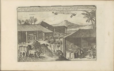 Braziliaanse suikerwerkers Brasilise Suykerwerken / Sucreries du Brasil (nesne üzerindeki başlık) Doğu ve Batı Hint Adaları ve diğer yerler (dizi başlığı) by Romeyn de Hooghe