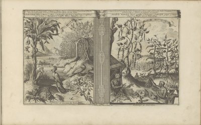 Planten, vogels en pepervelden Loua, Ananas Musa / Hindistan Bitkileri ve Kuşları // Peeper-Gewassen / Biber Plantasyonu (nesne üzerindeki başlık) Doğu ve Batı Hint Adaları ve Diğer Yerler (dizi başlığı) by Romeyn de Hooghe