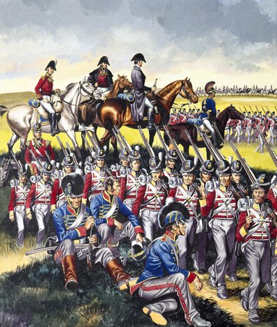 Wellington Dükü (1769-1852) Waterloo