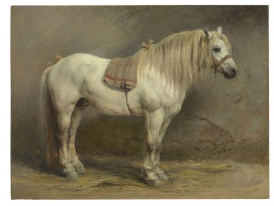 Beyaz At by Rosa Bonheur