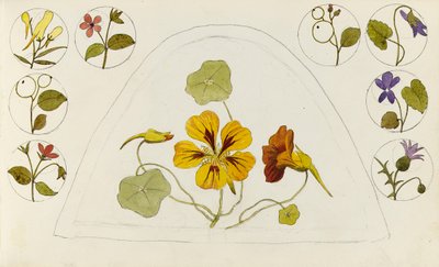  by Rosa Brett