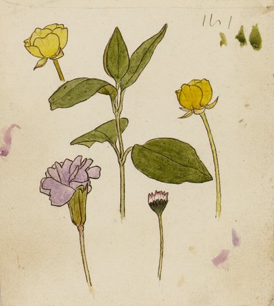  by Rosa Brett