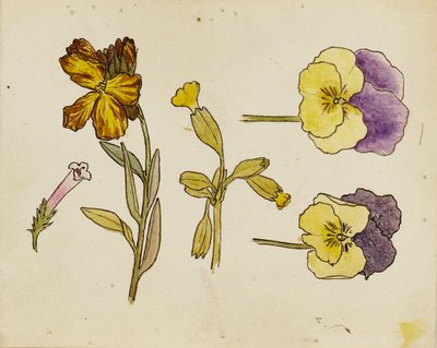  by Rosa Brett
