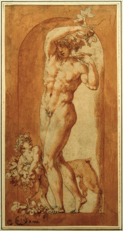 niş içinde Bacchus by Rosso Fiorentino