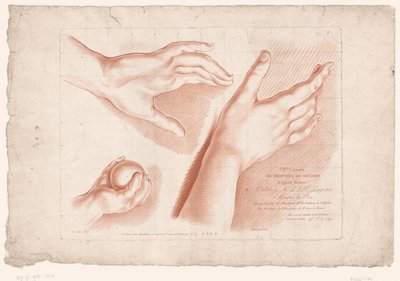 Üç elle başlık resmi Doğadan çizim ilkeleri, sekizinci bölüm (dizi başlığı) VIII. Cahier de Principes du Design d