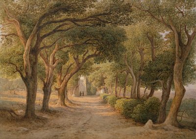 Castel Gandolfo (kağıt üzerine sulu boya) by Rudolf Müller