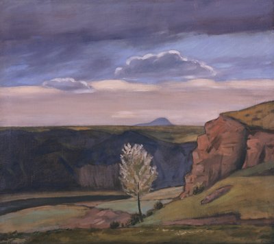 Žalov