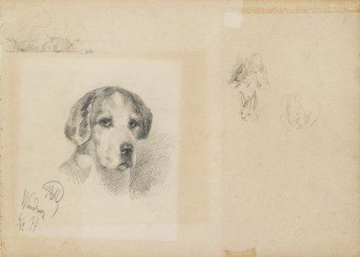 Bir köpeğin portresi: Windsor, 1877 by Rudolf Wimmer