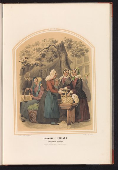 Schouwen ve Duiveland