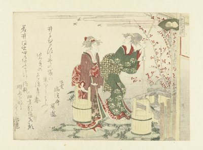 Kuyudan Su Çekmek mor kabuk Mor kabuk (nesne üzerindeki başlık) by Ryuryukyo Shinsai