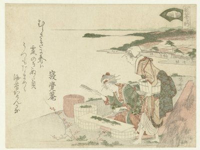 Dolum blok kabuğu by Ryuryukyo Shinsai