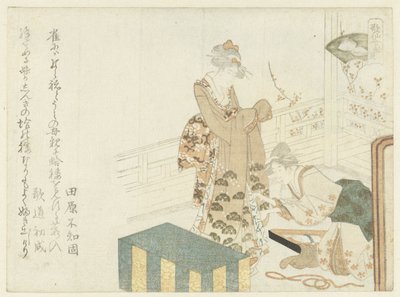 Kimono Tamiri deniz tarağı Deniz tarağı (nesne üzerindeki başlık) by Ryuryukyo Shinsai