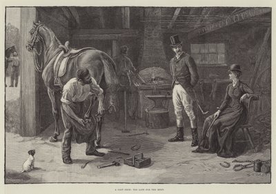 Döküm Ayakkabı, Buluşma için Çok Geç by S.T. Dadd