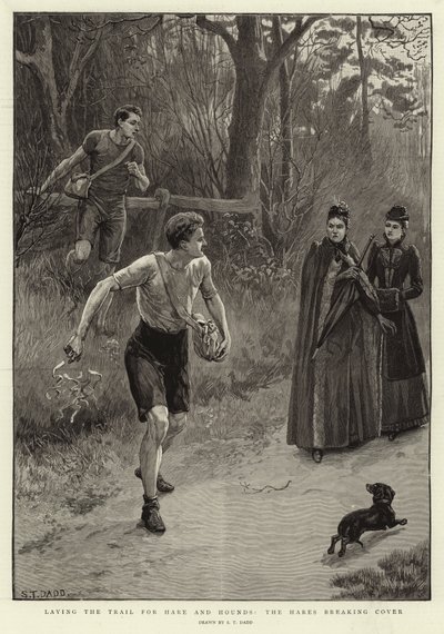 Tavşan ve Tazıların İzini Sürüyor, Tavşanlar Kapağı Kırıyor by S.T. Dadd