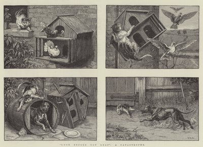 Sıçramadan önce bak, bir Felaket by S.T. Dadd