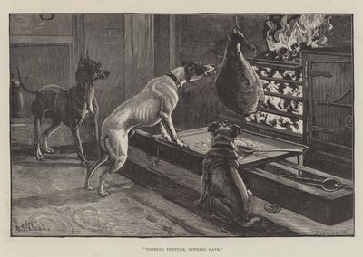 Hiçbir Şey Girişim, Hiçbir Şey Yok by S.T. Dadd