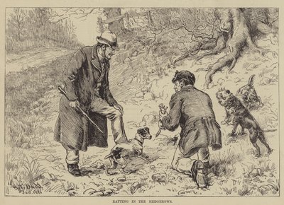 Çitlerde Sıçrayış by S.T. Dadd