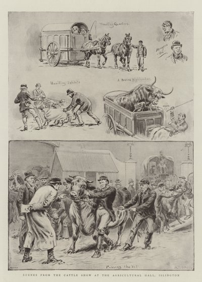 Islington, Tarım Salonundaki Sığır Gösterisinden Sahneler by S.T. Dadd