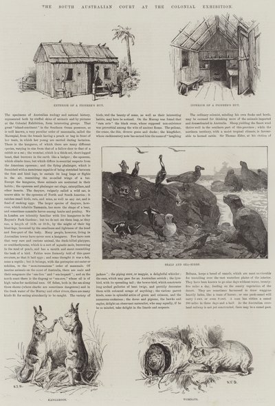 Koloni Sergisinde Güney Avustralya Mahkemesi by S.T. Dadd
