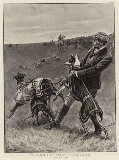 Waterloo Kupası toplantısı, Nadir Bir Avuç by S.T. Dadd