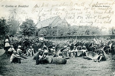 Kahvaltıda Coolies, 1908 dolayları (s/b fotoğraf) by S. Mahadeo