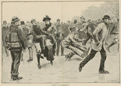 Serpantin üzerinde kayma (gravür) by S. T. Dadd