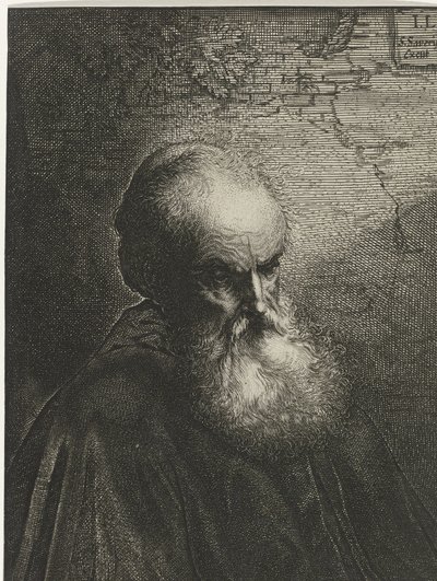 Sakallı yaşlı bir adamın portresi by Salomon Savery