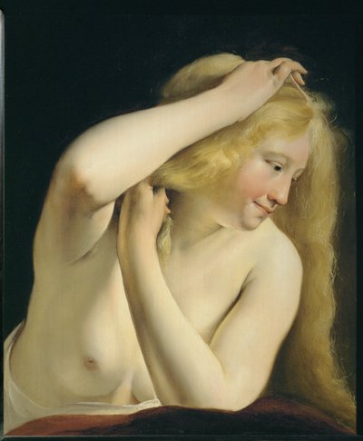  by Salomon de Bray