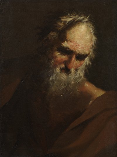 Sakallı Bir Adamın Başı, c.1640-80 by Salvator Rosa