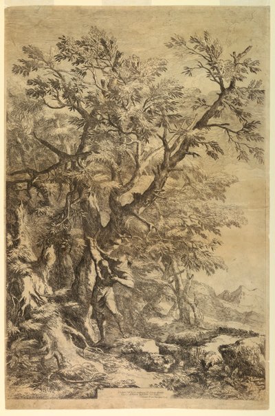 Oidipus, Cithaeron Dağı