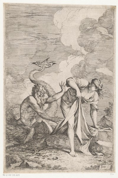 Scylla Glaucus