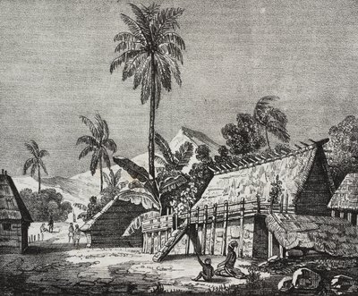House of Queen Noukahiva Adası (bugünkü Nuku Hiva), Marquesas Adaları, Fransız Polinezyası, Poliorama Pittoresco'dan Salvatore Puglia tarafından litografi, n 37, Nisan by Salvatore Puglia