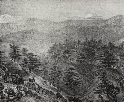 Lübnan Dağı'nın ünlü sedirleriyle görünümü, Lübnan, Poliorama Pittoresco'dan Salvatore Puglia'nın litografisi, n 10, 15 Ekim by Salvatore Puglia