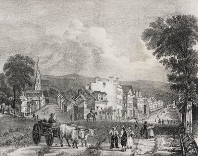Utica'nın görünümü, Amerika Birleşik Devletleri, Poliorama Pittoresco'dan Salvatore Puglia tarafından litografi, n 49, 13 Temmuz by Salvatore Puglia