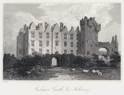 Inchmore Kalesi, Co Kilkenny (gravür) by Samuel (after) Austin
