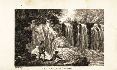 Bir şelalenin yakınındaki bir nehrin kıyısında somon balığı tutan balıkçı by Samuel (after) Howitt