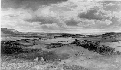 Bannockburn Tarlası (panel) (s/b fotoğraf) by Samuel Bough