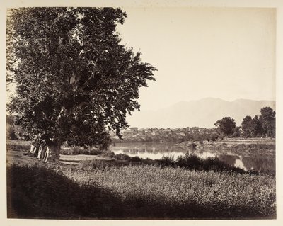 Jhelum