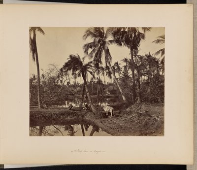  by Samuel Bourne
