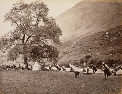 Bajoura