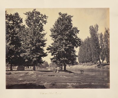  by Samuel Bourne