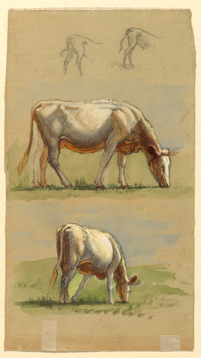Sığır, İki Otlayan İnek ve Buzağıların Sırtları by Samuel Colman
