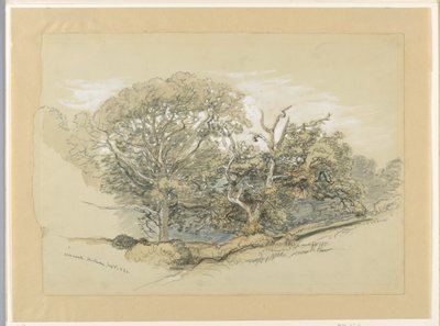  by Samuel Colman