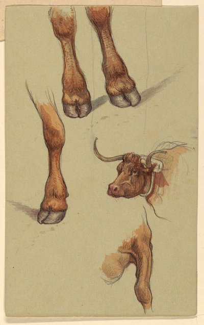  by Samuel Colman