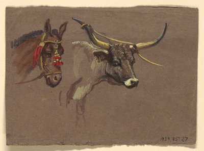 Dizginli Katır Başı, Bufalo veya Öküz Başı by Samuel Colman