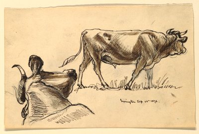 Sığır Skeçleri, Irvington by Samuel Colman